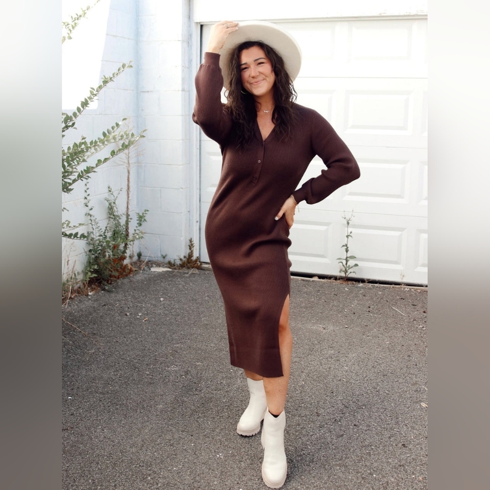 Gentle Fawn Penny Sweater Dress Espresso Medium BNWT